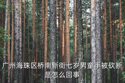 廣州海珠區昨晚事件，廣州海珠區橋南新街七歲男童手被砍斷是怎么回事