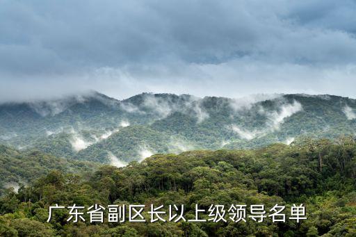 廣東省副區長以上級領導名單