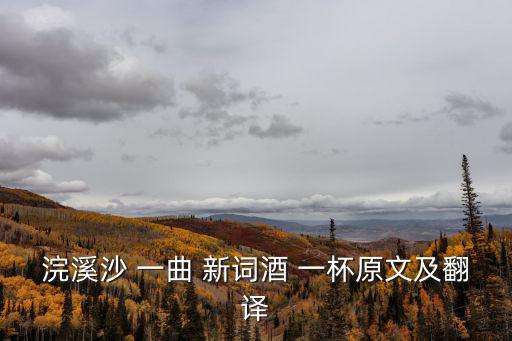 浣溪沙 一曲 新詞酒 一杯原文及翻譯