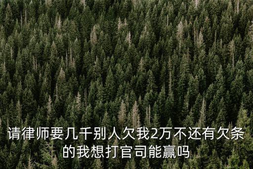 2萬債務(wù)請(qǐng)律師劃算嗎，2萬元的損失請(qǐng)人打官司劃算嗎自己能得到多少