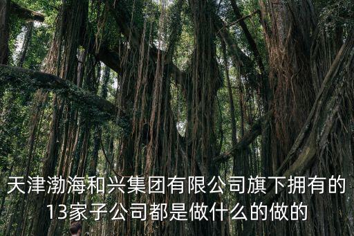 天津渤海和興集團有限公司旗下擁有的13家子公司都是做什么的做的