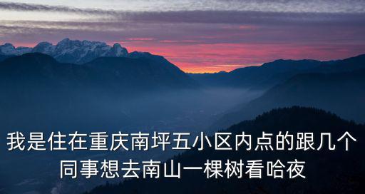 我是住在重慶南坪五小區(qū)內(nèi)點的跟幾個同事想去南山一棵樹看哈夜