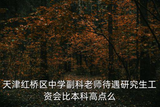 天津紅橋區(qū)中學(xué)副科老師待遇研究生工資會(huì)比本科高點(diǎn)么