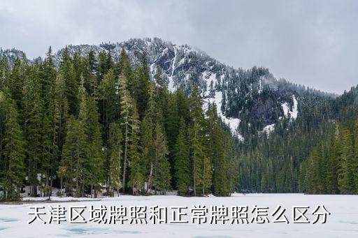 天津區(qū)域牌照和正常牌照怎么區(qū)分