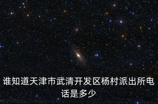 誰知道天津市武清開發(fā)區(qū)楊村派出所電話是多少