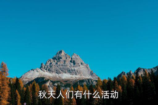 有什么活動，社會活動有哪些
