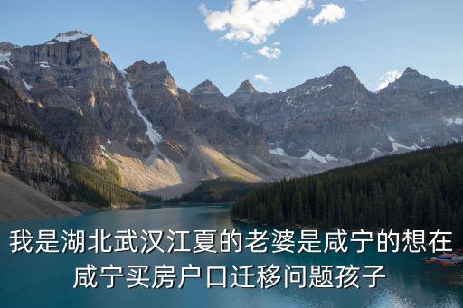 忠縣縣長江夏老婆，重慶忠縣的陳紅蘭在那里