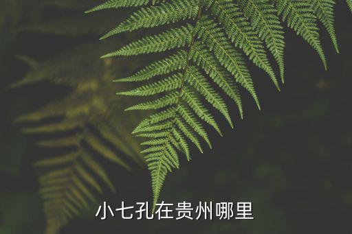 荔波在哪里,貴州七孔橋景區(qū)七石拱橋橫跨響水河