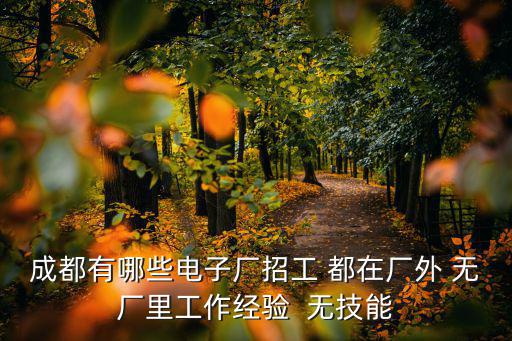 成都有哪些電子廠招工 都在廠外 無廠里工作經驗  無技能