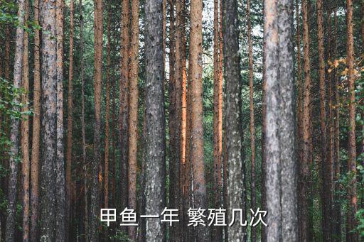 甲魚繁殖,雄性甲魚每年產3~5窩卵子
