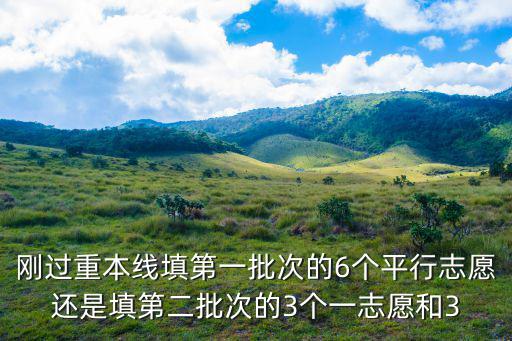 剛過重本線填第一批次的6個平行志愿還是填第二批次的3個一志愿和3