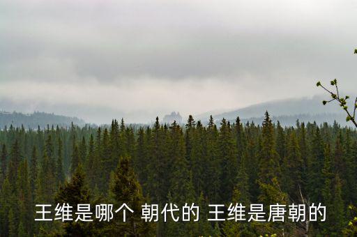  王維是哪個(gè) 朝代的 王維是唐朝的