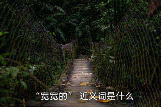 寬的近義詞,擴展數據寬容指數與個人資料