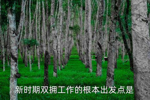 新時期雙擁工作的根本出發點是