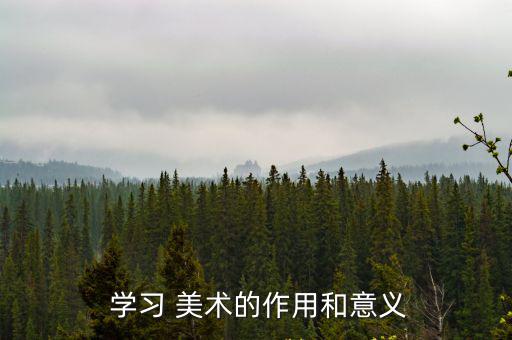 美術學習,學習美術可促進智力和能力發展