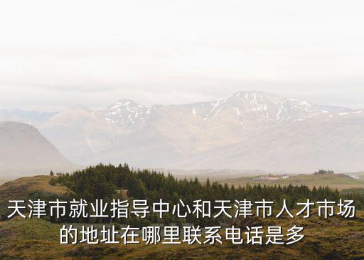 天津市就業指導中心和天津市人才市場的地址在哪里聯系電話是多