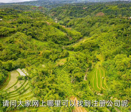 請問大家網(wǎng)上哪里可以找到注冊公司呢