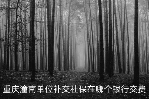 重慶潼南單位補交社保在哪個銀行交費