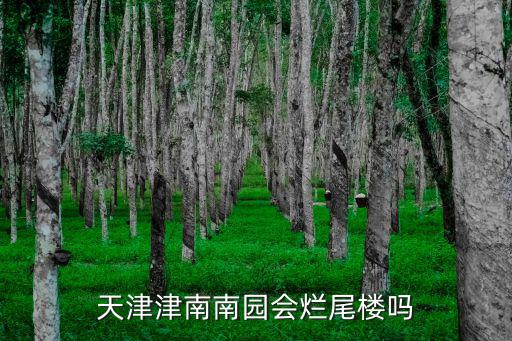 天津津南南園會爛尾樓嗎
