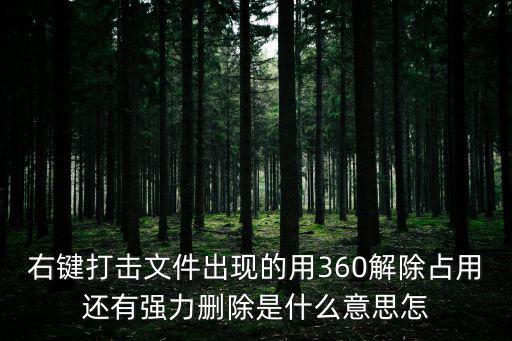 右鍵打擊文件出現(xiàn)的用360解除占用還有強(qiáng)力刪除是什么意思怎