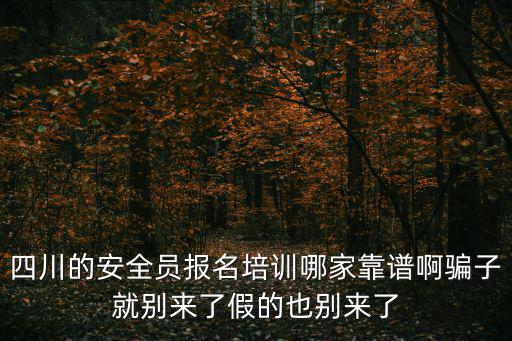 四川的安全員報名培訓哪家靠譜啊騙子就別來了假的也別來了