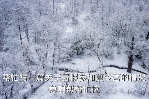 夏令營作文，寫夏令營的作文可以寫幾件事嗎