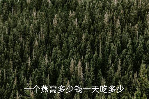 一個燕窩多少錢一天吃多少