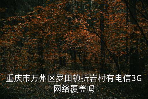 重慶市萬州區羅田鎮折巖村有電信3G網絡覆蓋嗎