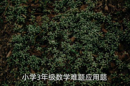3年級數學應用題，小學三年級數學應用題大全及答案