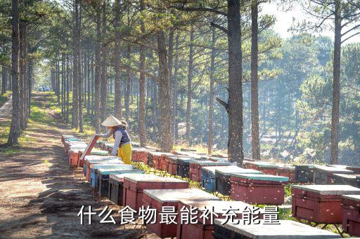 什么食物最能補充能量