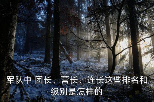 團長軍銜,解放軍軍銜分布有何規定?