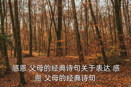  感恩 父母的經(jīng)典詩句關(guān)于表達 感恩 父母的經(jīng)典詩句