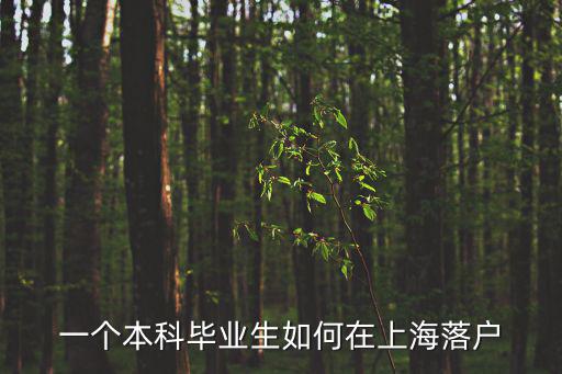 一個本科畢業生如何在上海落戶