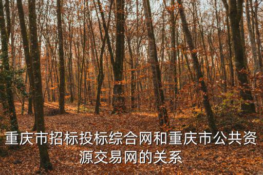 重慶市招標投標綜合網和重慶市公共資源交易網的關系
