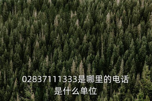 02837111333是哪里的電話是什么單位