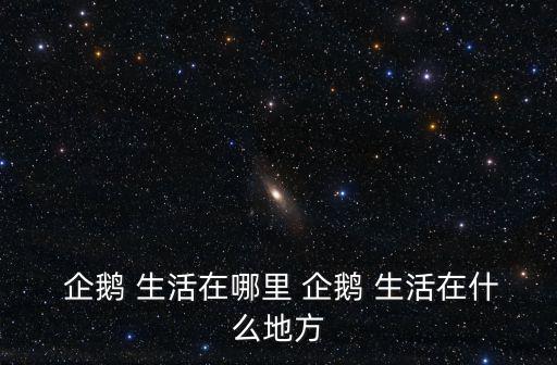  企鵝 生活在哪里 企鵝 生活在什么地方