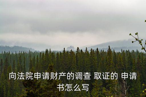 向法院申請財產的調查 取證的 申請書怎么寫