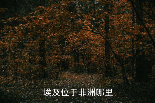  埃及位于非洲哪里
