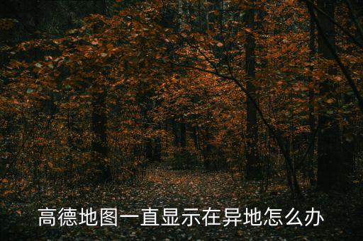 高德地圖一直顯示在異地怎么辦