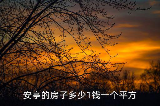 安亭的房子多少1錢一個平方