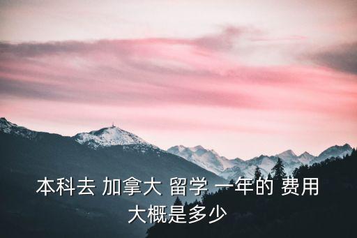 本科去 加拿大 留學 一年的 費用大概是多少