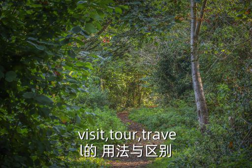  visit,tour,travel的 用法與區別