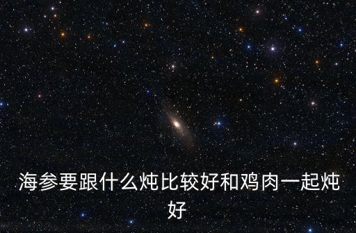  海參要跟什么燉比較好和雞肉一起燉好