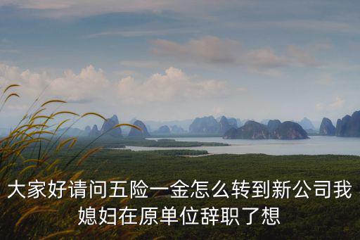 大家好請問五險一金怎么轉到新公司我媳婦在原單位辭職了想