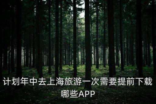 計劃年中去上海旅游一次需要提前下載哪些APP