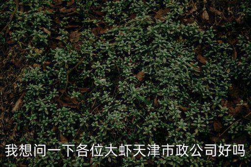 我想問一下各位大蝦天津市政公司好嗎