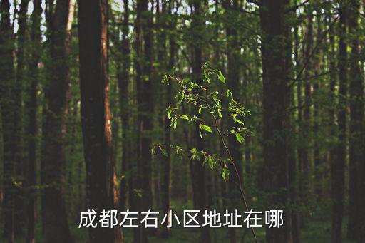 成都左右小區(qū)地址在哪