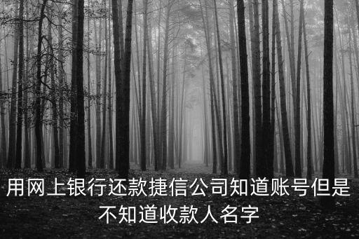 天津市網上銀保監會捷信公司，網上如何還捷信消費金融有限公司的款