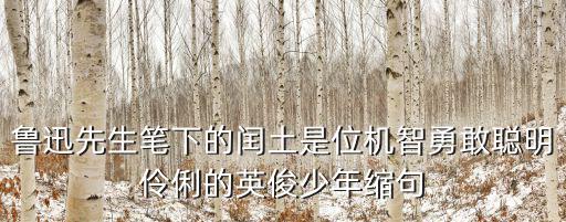 魯迅先生筆下的閏土是位機智勇敢聰明伶俐的英俊少年縮句