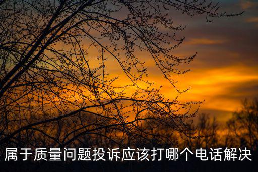 天津市市場和質量投訴舉報，市場管理局分局去哪里投訴他們